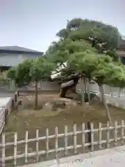 雷香取神社(東京都)