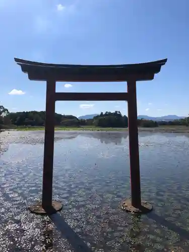 薦神社の鳥居