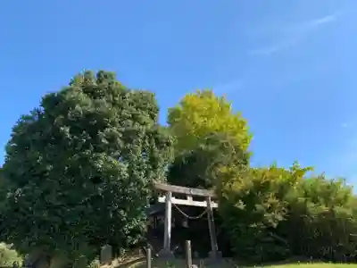 國常立神社の鳥居