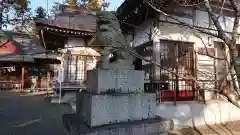 鶴峯八幡宮の狛犬