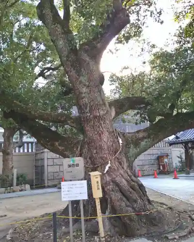 難波神社の自然