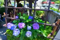 白山神社(東京都)