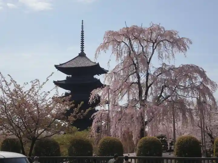 東寺(教王護国寺)の庭園