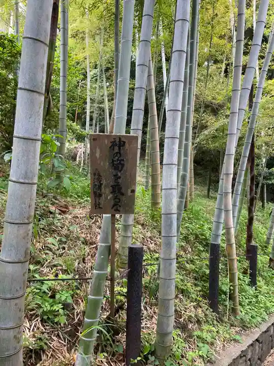 森浅間神社(神奈川県)