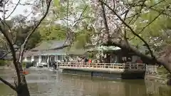 鶴岡八幡宮(神奈川県)