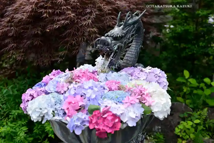 成就院の手水舎