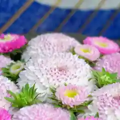 帯廣神社の手水