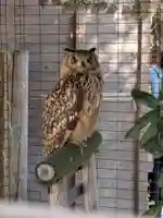 宮地嶽神社(福岡県)