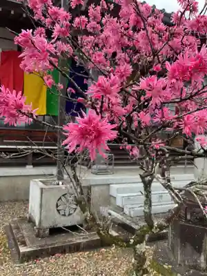 来昌寺(岐阜県)