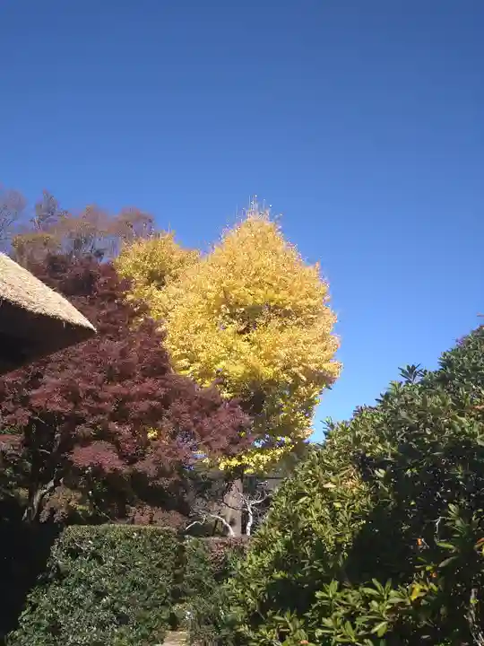 長壽寺(長寿寺)(神奈川県)