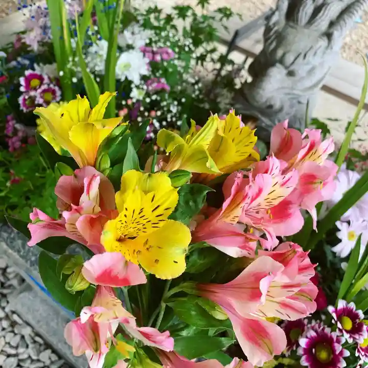 滑川神社 - 仕事と子どもの守り神の手水舎