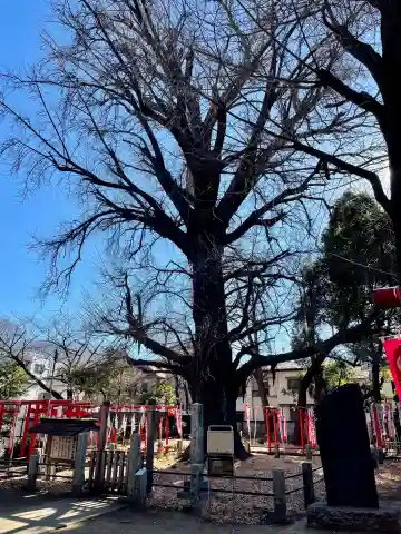 武芳稲荷神社の{uncategorized: "未分類", other: "その他", undefined: "問題あり", building: "その他建物", grave: "お墓", sacred_gate: "鳥居", guardian: "狛犬", statue: "像", buddha: "仏像", history: "歴史", nature: "自然", garden: "庭園", animal: "動物", pagoda: "塔", temizu: "手水舎", mountain_gate: "山門・神門", sanctuary: "本殿・本堂", subordinate: "末社・摂社", art: "芸術", scenery: "景色", jizo: "地蔵", ema: "絵馬", goshuin: "御朱印", omikuji: "おみくじ", items: "授与品その他", amulet: "お守り", goshuincho: "御朱印帳", eats: "食事", festival: "お祭り", votive_dance: "神楽", shichigosan: "七五三参", wedding: "結婚式", experience: "体験その他", initially: "初詣", around: "周辺", anti_infection: "感染症対策"}