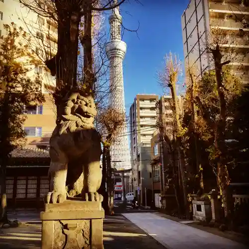 牛嶋神社の狛犬