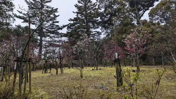 長岡天満宮(京都府)