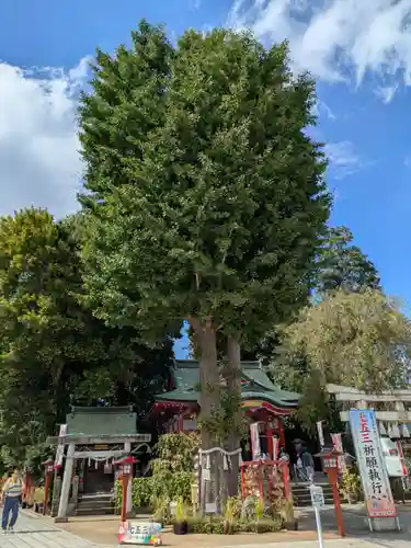 川越八幡宮(埼玉県)