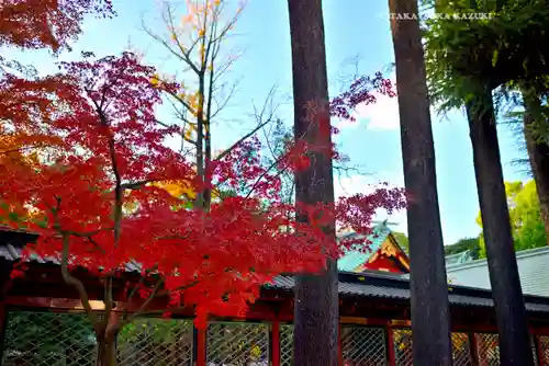 根津神社(東京都)