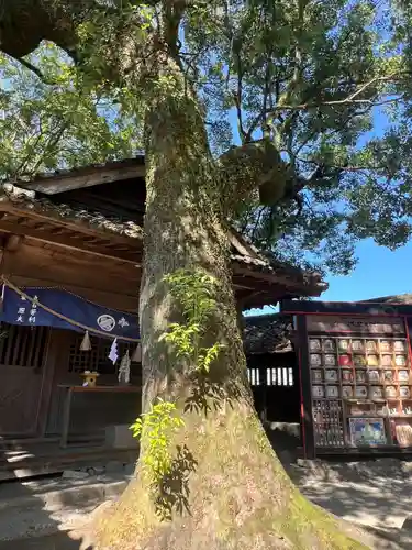 青井阿蘇神社(熊本県)