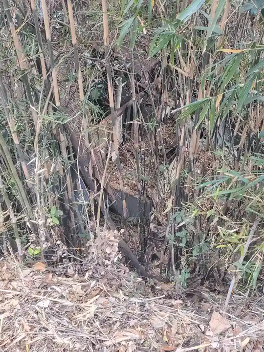 子の権現(栃木県)