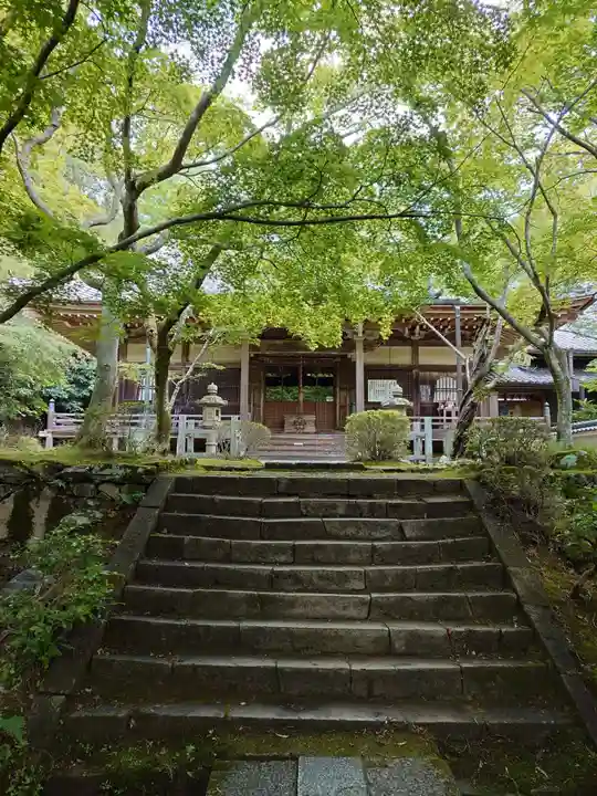 勝持寺(花の寺)(京都府)