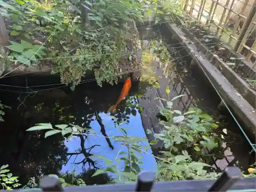 厳島神社（港町弁財天）(千葉県)