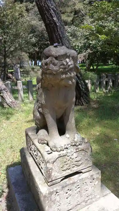 天橋立神社の狛犬