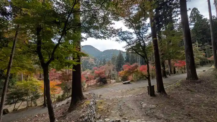 高山寺(京都府)