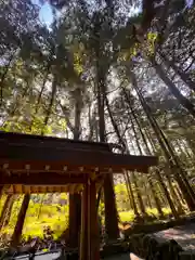 狭野神社(宮崎県)