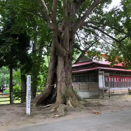 日吉神社(秋田県)
