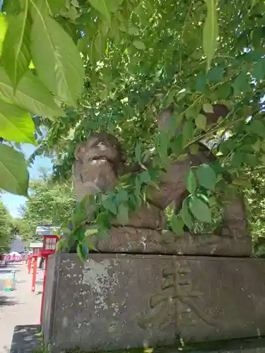 鷲宮神社の狛犬