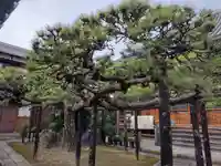 善福寺(大阪府)