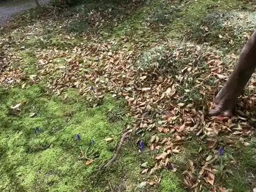 若宮神明社の庭園