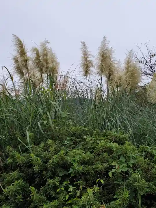 道光寺(埼玉県)