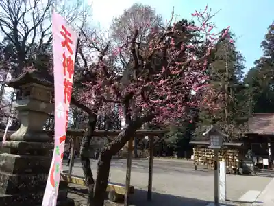 芳賀天満宮(栃木県)