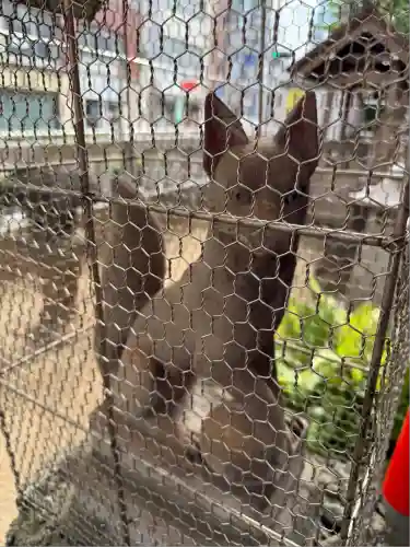 千種稲荷神社(東京都)