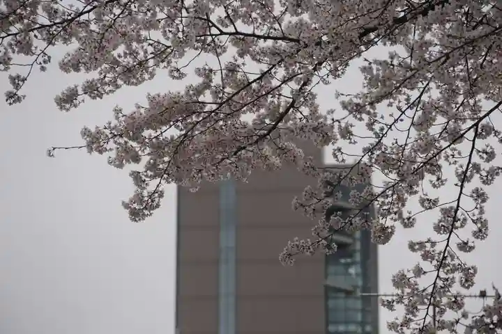 愛宕神社の景色