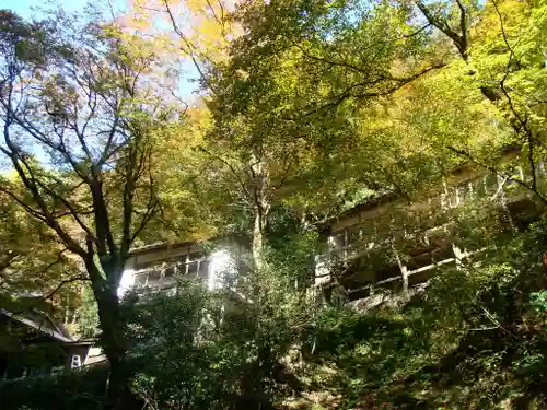 志明院（金光峯寺）(京都府)