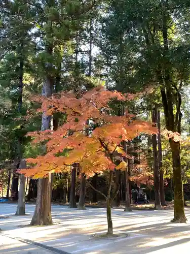 武田神社の自然