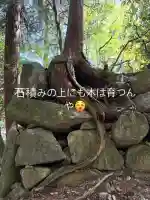 観音正寺の{uncategorized: "未分類", other: "その他", undefined: "問題あり", building: "その他建物", grave: "お墓", sacred_gate: "鳥居", guardian: "狛犬", statue: "像", buddha: "仏像", history: "歴史", nature: "自然", garden: "庭園", animal: "動物", pagoda: "塔", temizu: "手水舎", mountain_gate: "山門・神門", sanctuary: "本殿・本堂", subordinate: "末社・摂社", art: "芸術", scenery: "景色", jizo: "地蔵", ema: "絵馬", goshuin: "御朱印", omikuji: "おみくじ", items: "授与品その他", amulet: "お守り", goshuincho: "御朱印帳", eats: "食事", festival: "お祭り", votive_dance: "神楽", shichigosan: "七五三参", wedding: "結婚式", experience: "体験その他", initially: "初詣", around: "周辺", anti_infection: "感染症対策"}