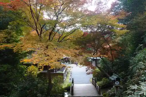 日向大神宮(京都府)