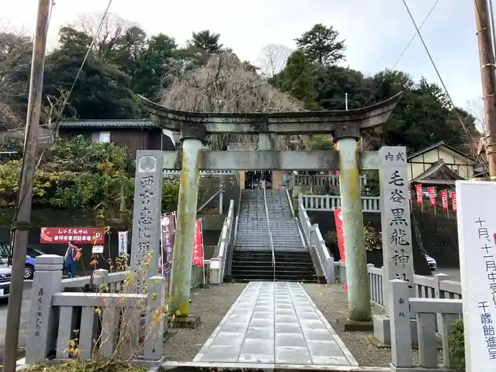 毛谷黒龍神社(福井県)