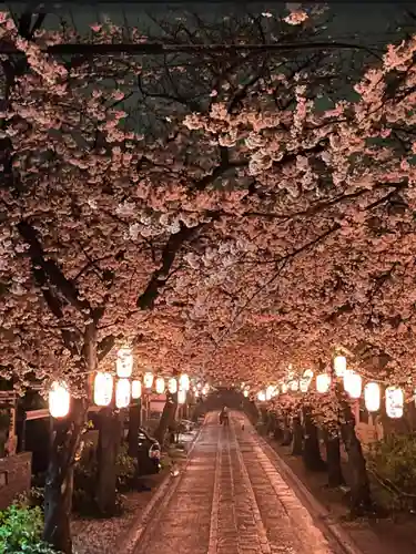 稱名寺(神奈川県)