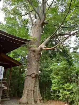 横山八幡宮(岩手県)