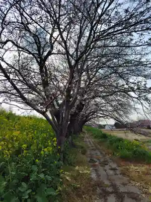 大塚諏訪神社 (埼玉県)