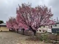 圓徳寺(埼玉県)