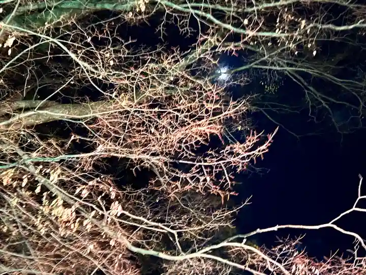 白鳥神社(長野県)