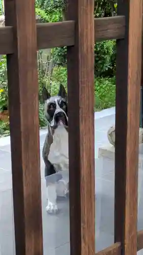 無量寺(大阪府)