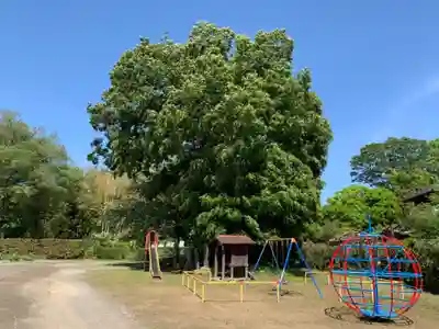 安楽院(千葉県)