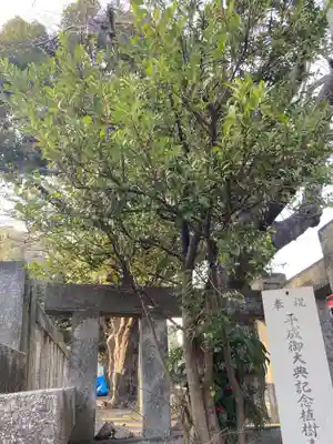 神明神社(神奈川県)