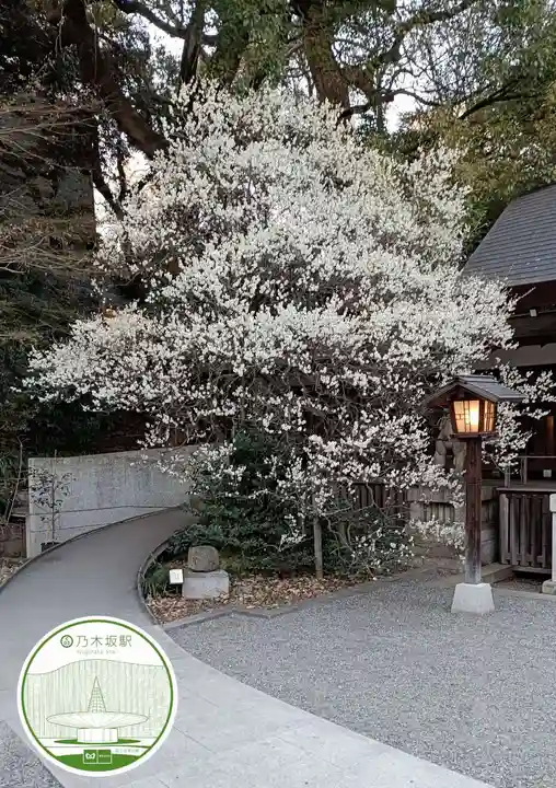乃木神社(東京都)