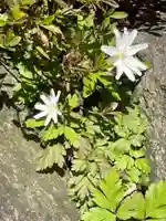 国上寺(新潟県)